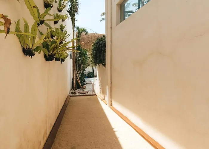 Bocce Canggu